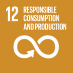 sustainability goal responsible consumption and production
